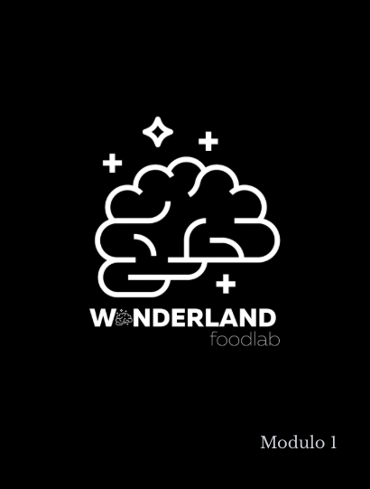 Modulo WFL 1. IDEACIÓN / CONCEPTO