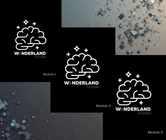 Manuel Base WFL  - Ideación · Mercado · Formulación  Bundle descargable